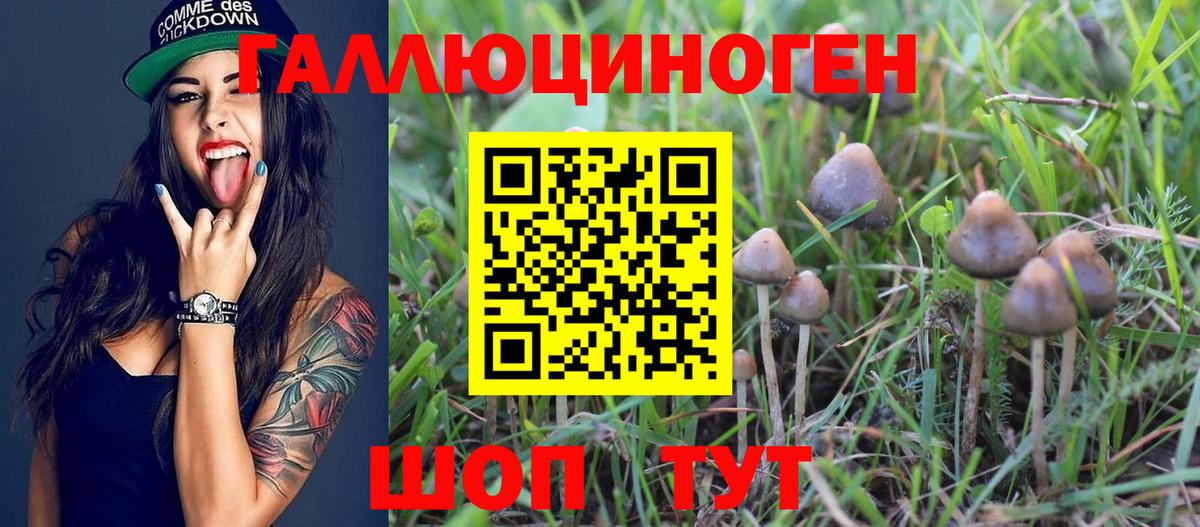 Галлюциногенные грибы Magic Shrooms  Вход с VPN  наркотики  Псилоцибиновые грибы мицелий  Топки 