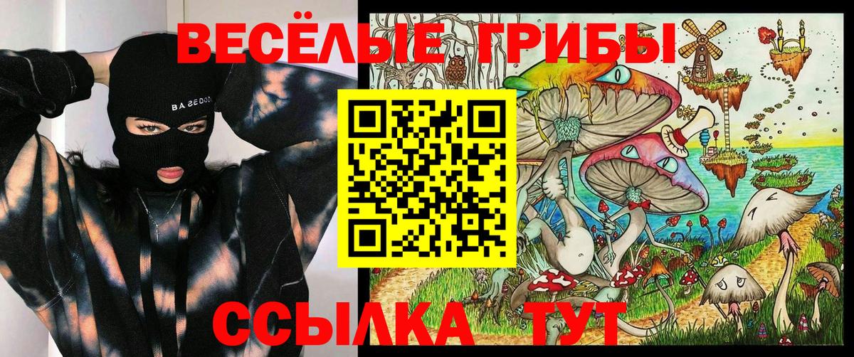 Псилоцибиновые грибы ЛСД Топки